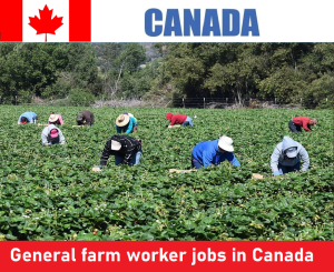 General farm worker jobs in Canada for foreigners