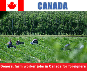 General farm worker jobs in Canada for foreigners