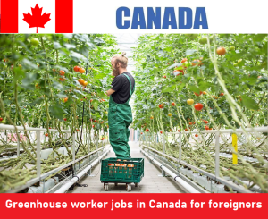 Greenhouse worker jobs in Canada for foreigners