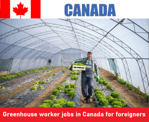 Greenhouse worker jobs in Canada for foreigners