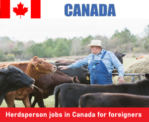 Herdsperson jobs in Canada for foreigners