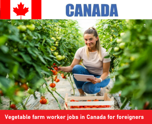Vegetable farm worker jobs in Canada for foreigners