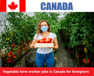 Vegetable farm worker jobs in Canada for foreigners