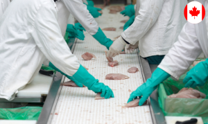 Production Labourer Food Processing jobs in Canada for foreigners