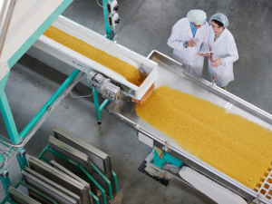 Production Labourer Food Processing jobs in Canada for foreigners