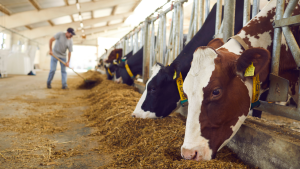 General farm worker jobs in Canada for foreigners