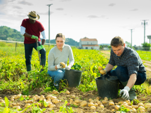 General farm labourer jobs in Canada for foreigners