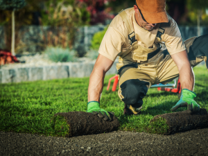 Landscape labourer jobs in Canada for foreigners