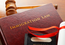 How to Choose the Best Immigration Lawyer for Your Needs How to Choose the Best Immigration Lawyer for Your Needs
