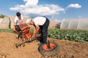 General farm labourer jobs in Canada for foreigners
