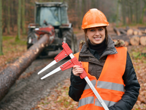 Forestry worker jobs in Canada for foreigners