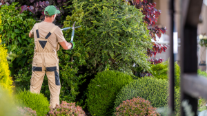 Landscape worker jobs in Canada for foreigners
