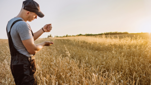 Grain Farm Worker jobs in Canada for foreigners