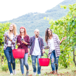 Fruit farm labourer jobs in Canada for foreigners, Mar 2024 Fruit farm labourer jobs in Canada for foreigners