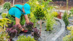 Landscape labourer jobs in Canada for foreigners