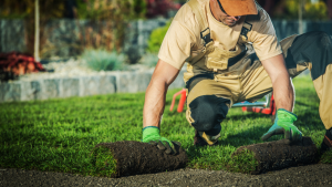 Landscape worker jobs in Canada for foreigners