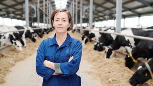 Dairy farm worker jobs in Canada for foreigners