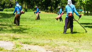 Grounds maintenance labourer jobs in Canada for foreigners