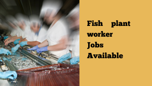 Fish plant worker jobs in Canada for foreigners