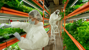 Farm labourer jobs in Canada for foreigners