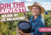 Start Your Farm Worker Career at Blue Meadow Blueberries in Langley, BC Start Your Farm Worker Career at Blue Meadow Blueberries in Langley, BC